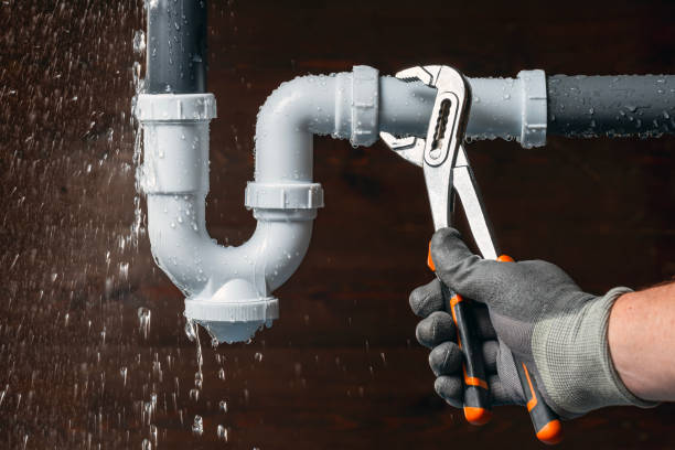 Professional Plumber technician working in Edelstein, IL